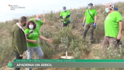 Apadrina un árbol