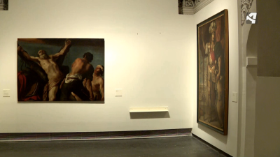 Estanterías del Museo de Lérida vacías sin bienes