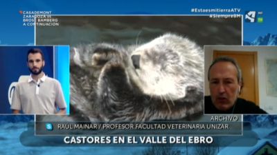 Buena salud ecológica