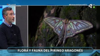 Flora y Fauna del Pirineo Aragonés