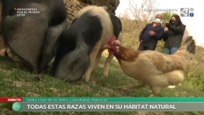 Integrados en el ecosistema
