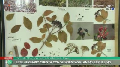 Un herbario con 600 especies