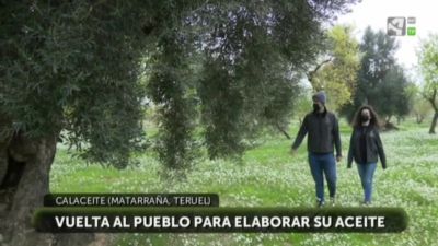 Viejos olivos, nuevos pobladores