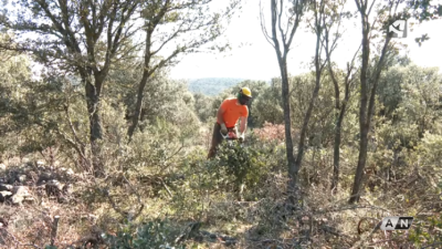 Un operario de SARGA realizando labores de prevención