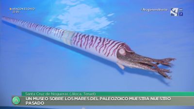 Cuando Teruel era mar