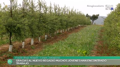Regadío social y crecimiento