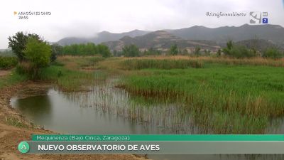 Nuevo observatorio de aves