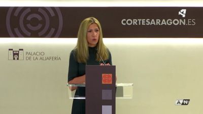 Mar Vaquero, durante su intervención en las Cortes de Aragón