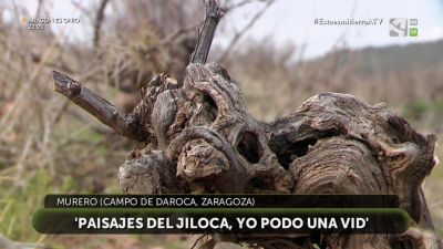Paisajes del Jiloca, yo podo una vid