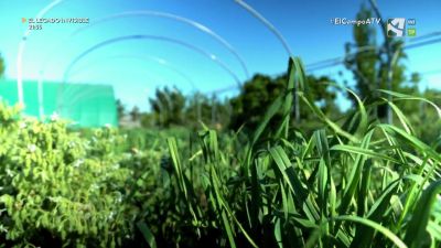 El Campo es... biodiversidad (V)