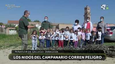 Las cigüeñas de Peñaflor se mudan