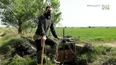 El Campo es... compromiso (II)