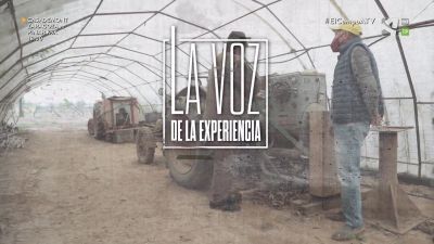 El Campo es... experiencia (VII)