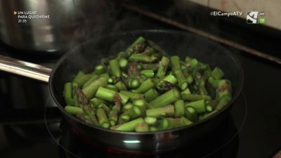 El Campo es... revuelto de espárragos recién recogidos
