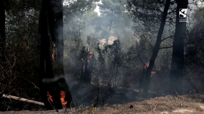 Incendio declarado en Tenerife.