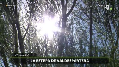 La Estepa de Valdespartera