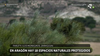 Estepa de Los Monegros