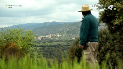 El Campo es... vida (XI)