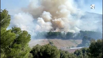 Imagen de uno de los incendios declarados en la Comarca de Tarazona