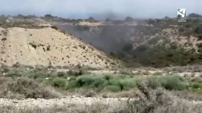 Nubes de mosquitos en Torralba de Aragón (Huesca). Vídeo: Salvador López.