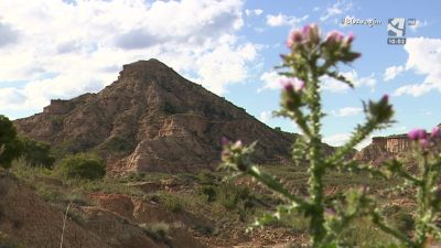 Monegros: un hogar y un paisaje (y II)