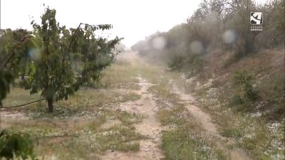 Imagen de uno de los campos de un agricultor en Aragón