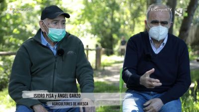 El Campo es... experiencia (XI) - ¿Plantero o plantón?