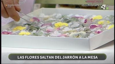 Flores comestibles