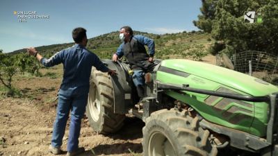 El Campo es... juventud experta (XX) - La unión hace la fuerza