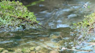 Fuen Narices: agua, piedra y hiedra