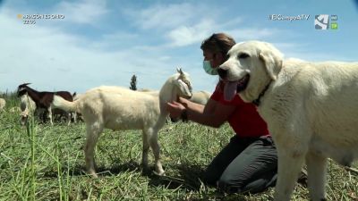 El Campo es... relevo generacional (I)