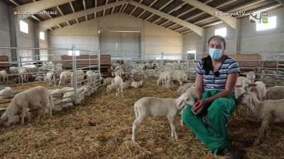 El Campo es... emprender (II)