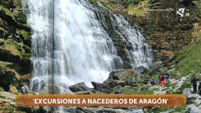 Excursiones a nacederos