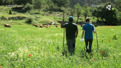 El Campo es... emprender (III)