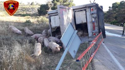 Un camionero ha resultado herido leve tras salirse de la vía y volcar el vehículo que conducía y en el que transportaba cerdos (Bomberos DPZ).