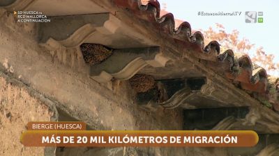 Espacios Naturales de Aragón: Bierge