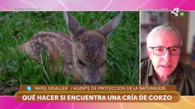 Respeta el medio natural
