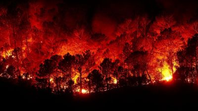 Incendio forestal.