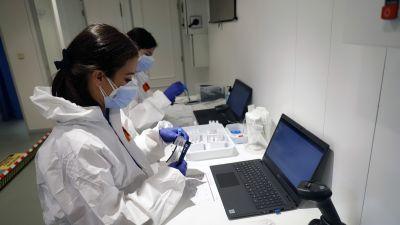 Dos personas analizando pruebas PCR de la COVID-19 (EP).