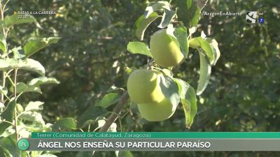 Permacultura