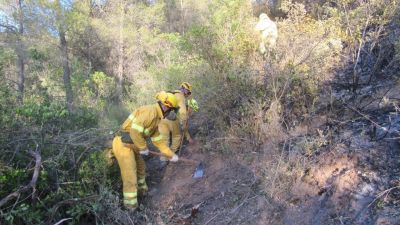 Varias personas realizan labores de prevención de incendios en el monte (EP).
