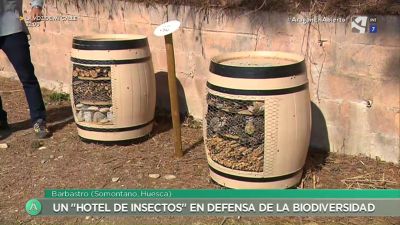 Hotel de insectos