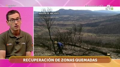 Recuperación de zonas quemadas