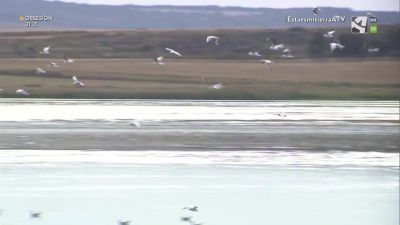 Laguna de Gallocanta