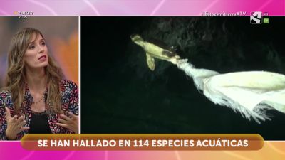 Microplásticos, contaminación de ida y vuelta