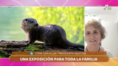 Naturaleza de foto