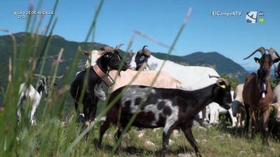 El Campo es... a beber al Barranco de Ariedo