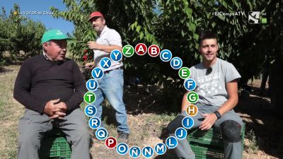 El Campo es... zoqueta