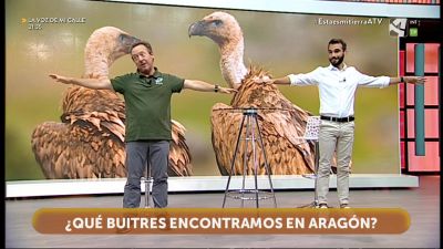 Buitres