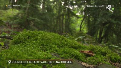 Otoño 2021